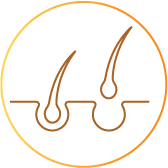 Gradual thinning over time icon